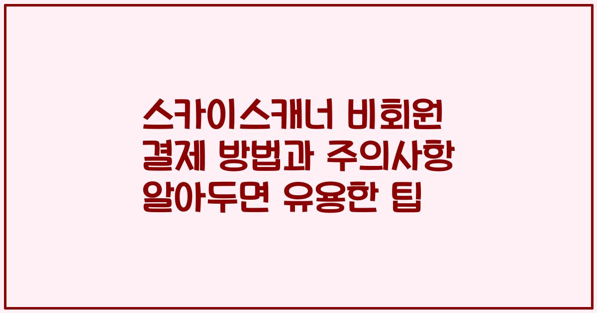 스카이스캐너 비회원 결제 방법과 주의사항 알아두면 유용한 팁